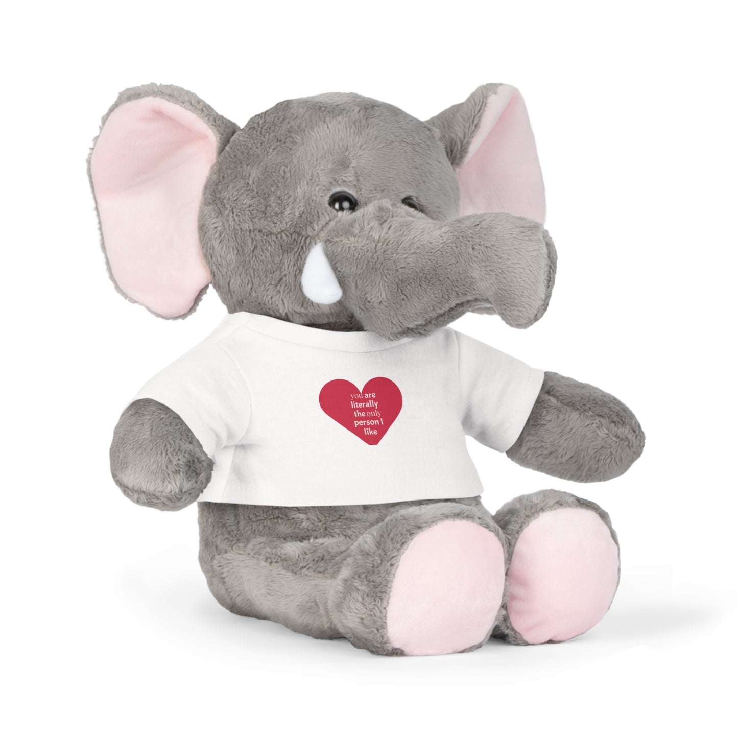 Plush Toy with T-Shirt